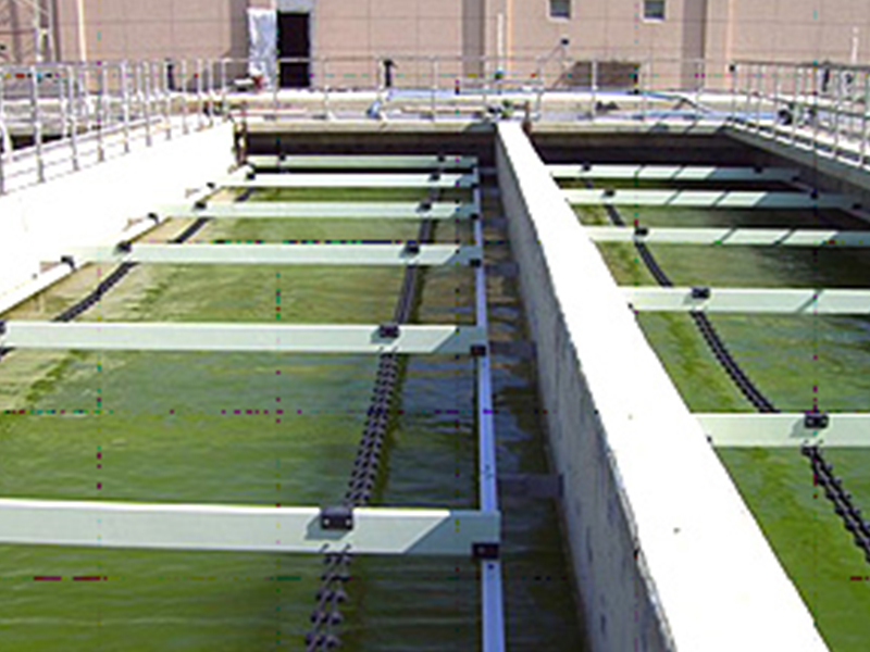 非金屬鏈條式刮泥機